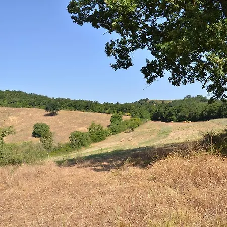 Agriturismo La Steccaia Alta-2